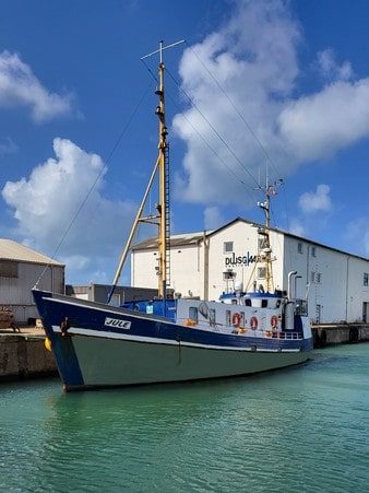 jule hirtshals helsingor dänemark hochseeangeln dorsch hering