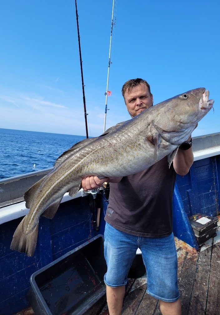 dorsch angeln mit ms jule hirtshals