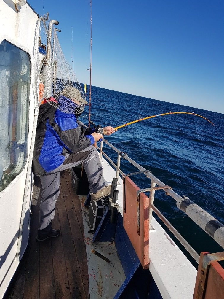 angeln auf ms jule hirtshals dänemark